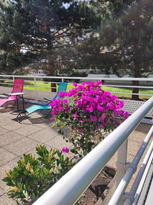 Apartamento Comme Chez Vous Estrasburgo Exterior foto